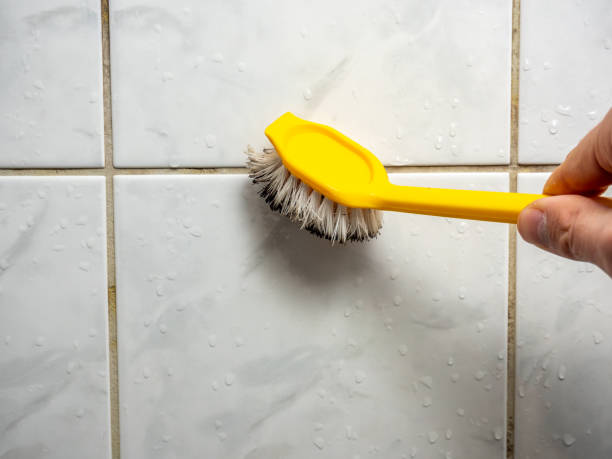 Best Residential Mold Removal  in Pontoon Beach, IL
